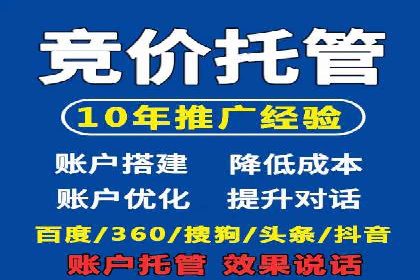 竞价SEM在旅游行业的应用案例分析